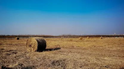 Casino Adrenaline Mobil App